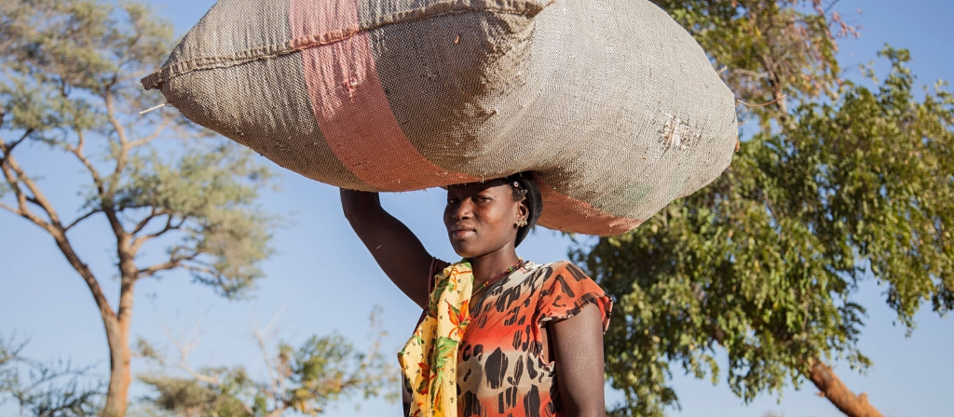 Fatima Tessougue, aged 40, carries a bag of manure on her head in order to fertilise the field. 
