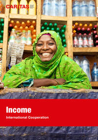 Flyer «Income - International Cooperation»