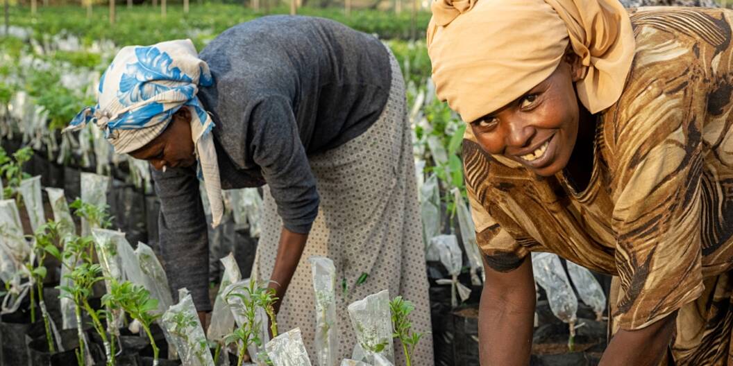 In many countries of the global South, the majority of the population lives from agriculture. Caritas Switzerland helps farmers to adapt to the changing climatic conditions.