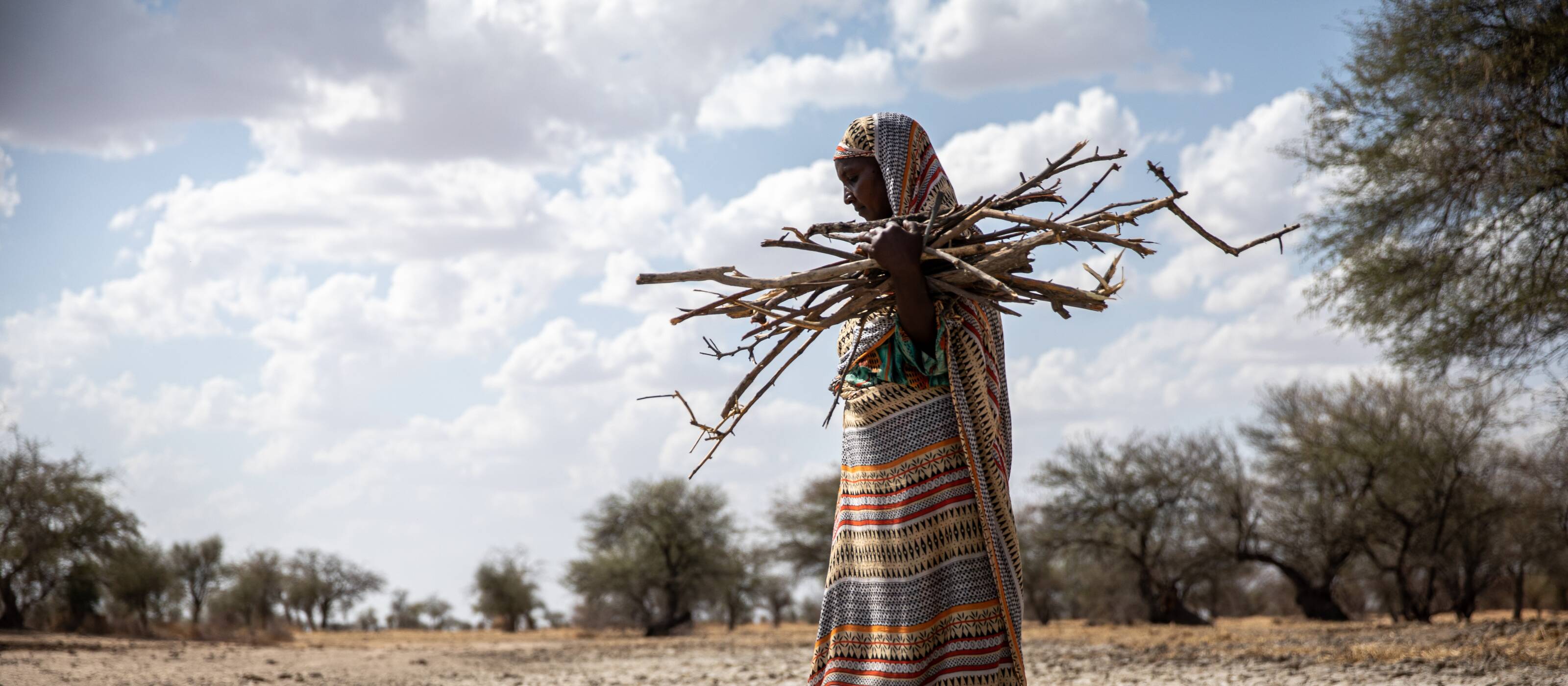 More than 35 million people are at risk of hunger in the Sahel and the Horn of Africa.